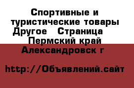 Спортивные и туристические товары Другое - Страница 5 . Пермский край,Александровск г.